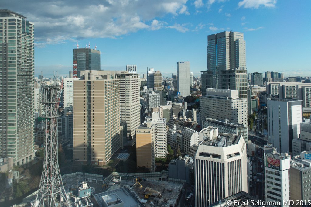 20150310_074700 D4S.jpg - View from Tokyo Intercontinental, Tokyo.
